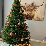 Nyaraló Waldsiedlung
