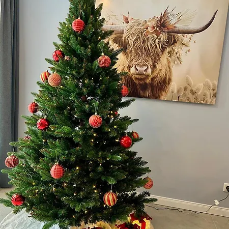 Nyaraló Waldsiedlung